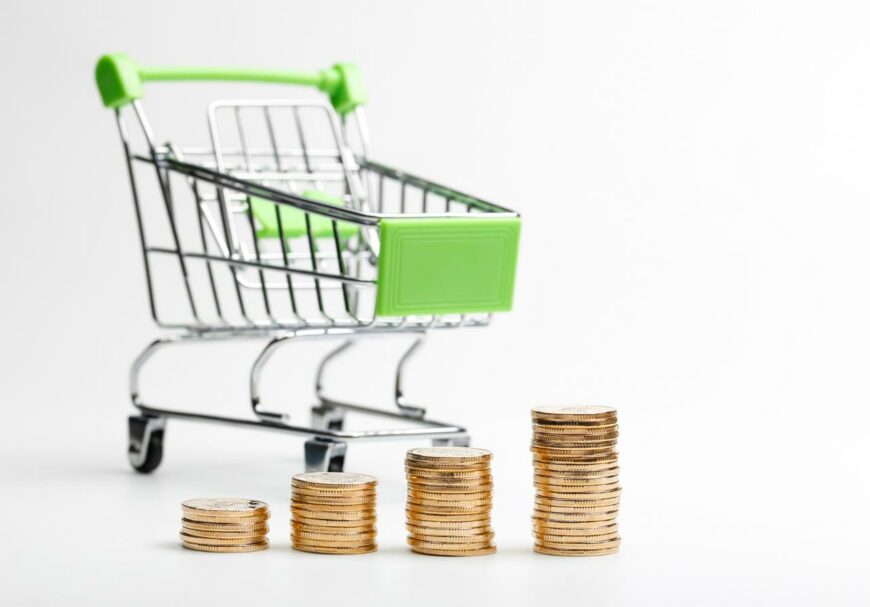 coins pile shopping cart white background Инфляция деңгейі 8 өңірде орташа республикалық деңгейден жоғары