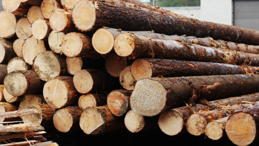 2019082114514419949 img 1087 Из Казахстана запретили вывозить некоторые лесоматериалы