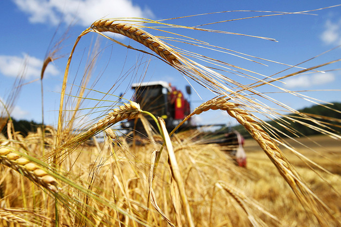 Государственная поддержка сельхозпроизводителей усовершенствуется в Казахстане