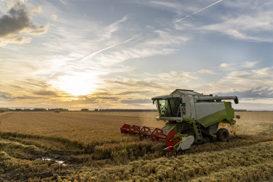 harvesting rice albufera valencia sunset В Казахстане запустят единую систему субсидирования сельхозпроизводителей