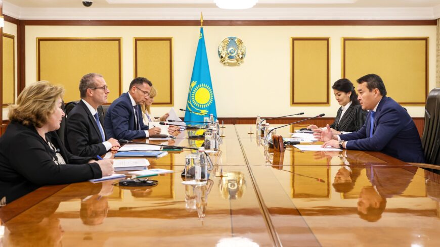 2.JPEG 6 Казахстан готов обмениваться опытом с ВОЗ по всем направлениям