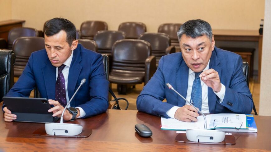 IMG 0718 Проектный офис по внедрению Налогового кодекса рассмотрел поправки о статусе самозанятых
